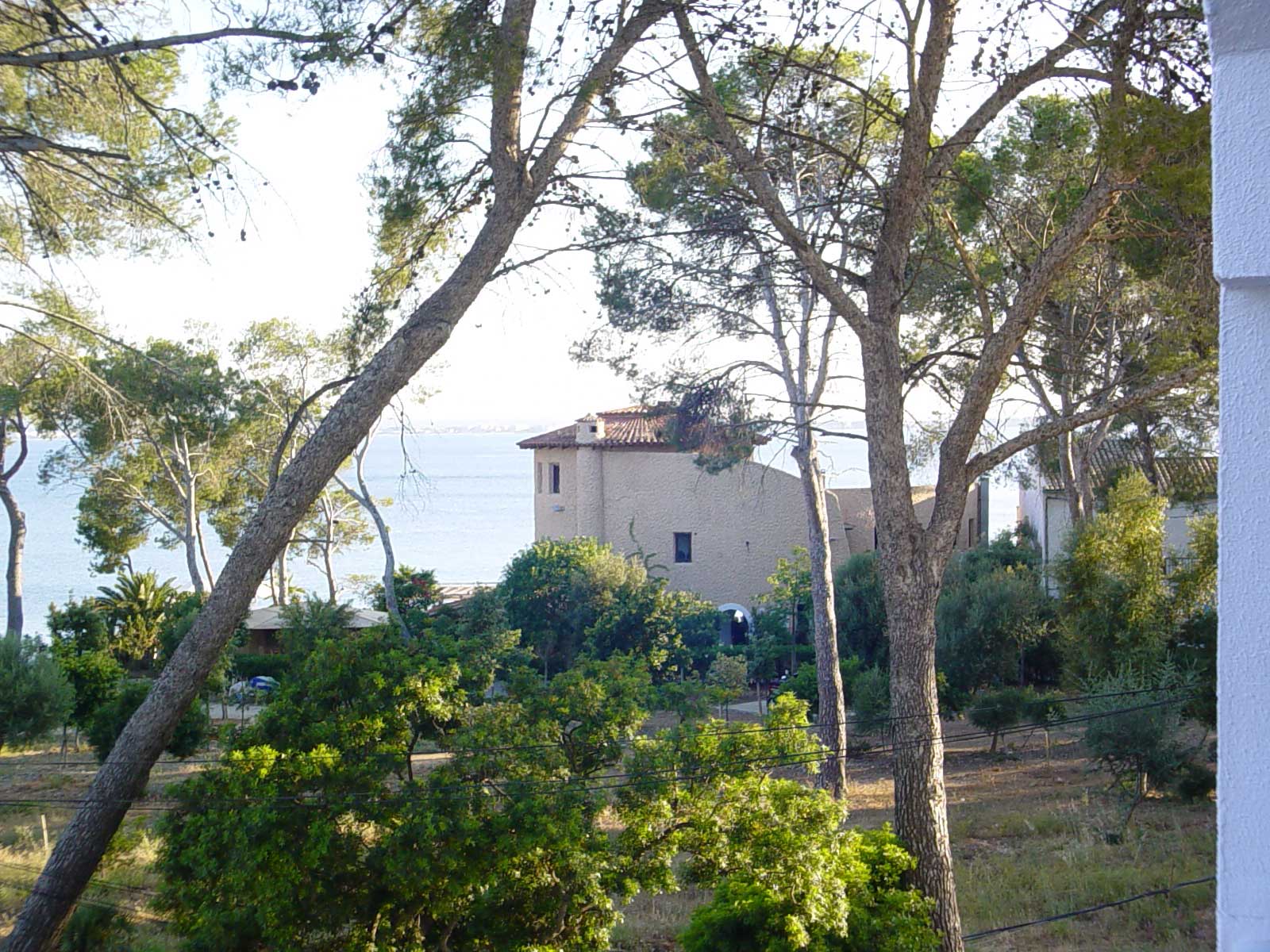 Aucanada, Mallorca